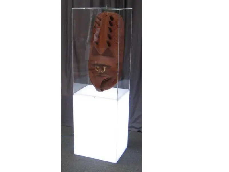Tall Display Case