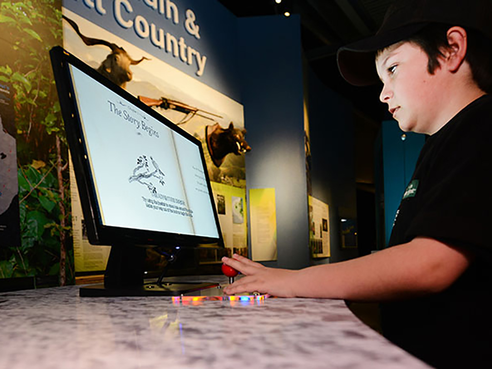 Interactive Flat Panels