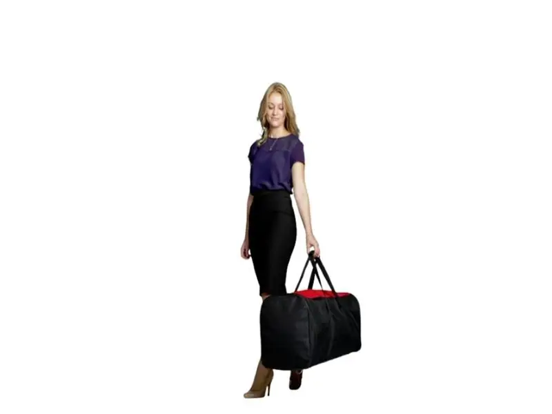 Carry bag for portable backdrop