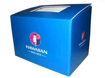 Suggestion Box